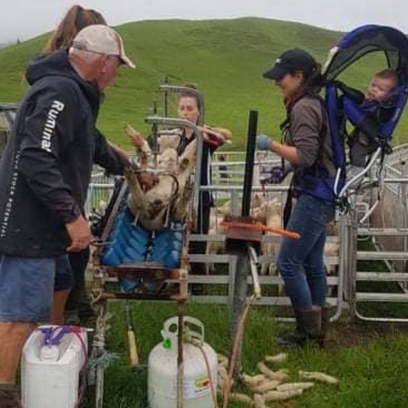 Casual Farmers NZ