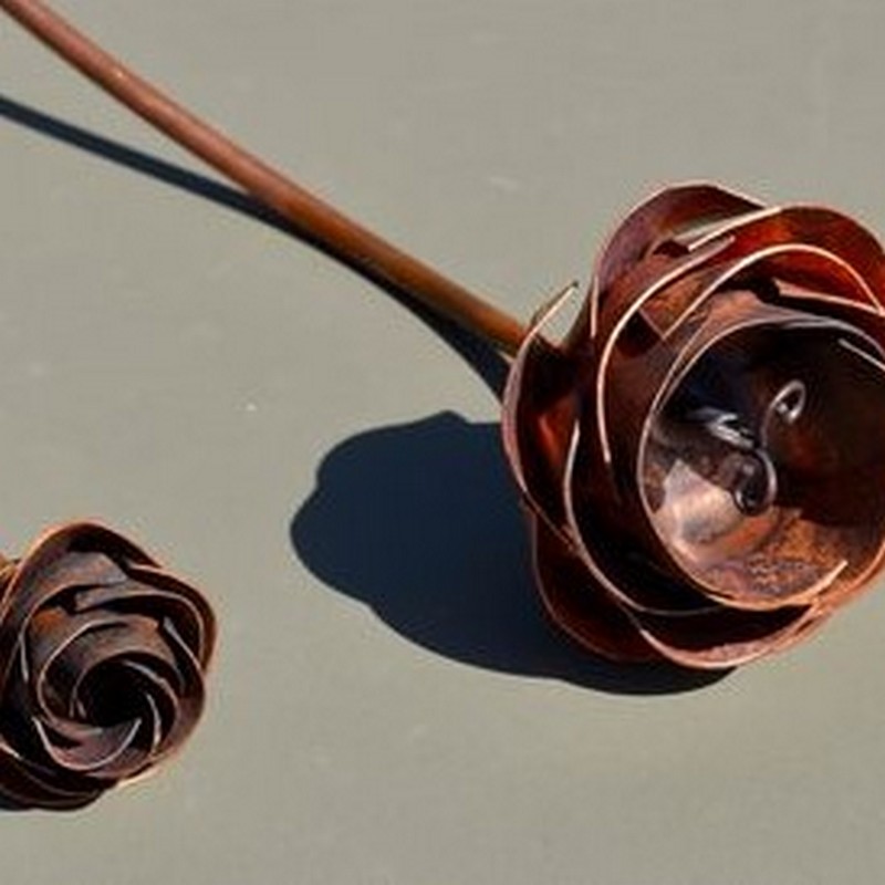Copper Roses NZ