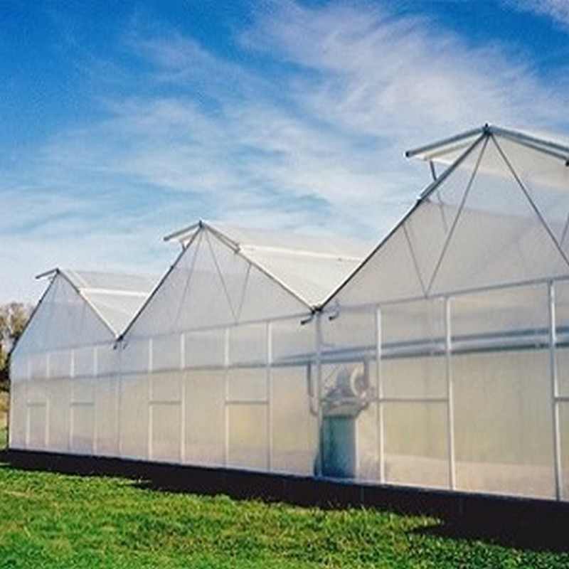 Harford Greenhouses